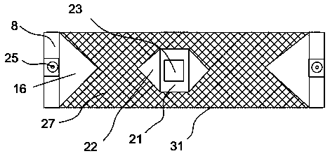 Automated squid processing device