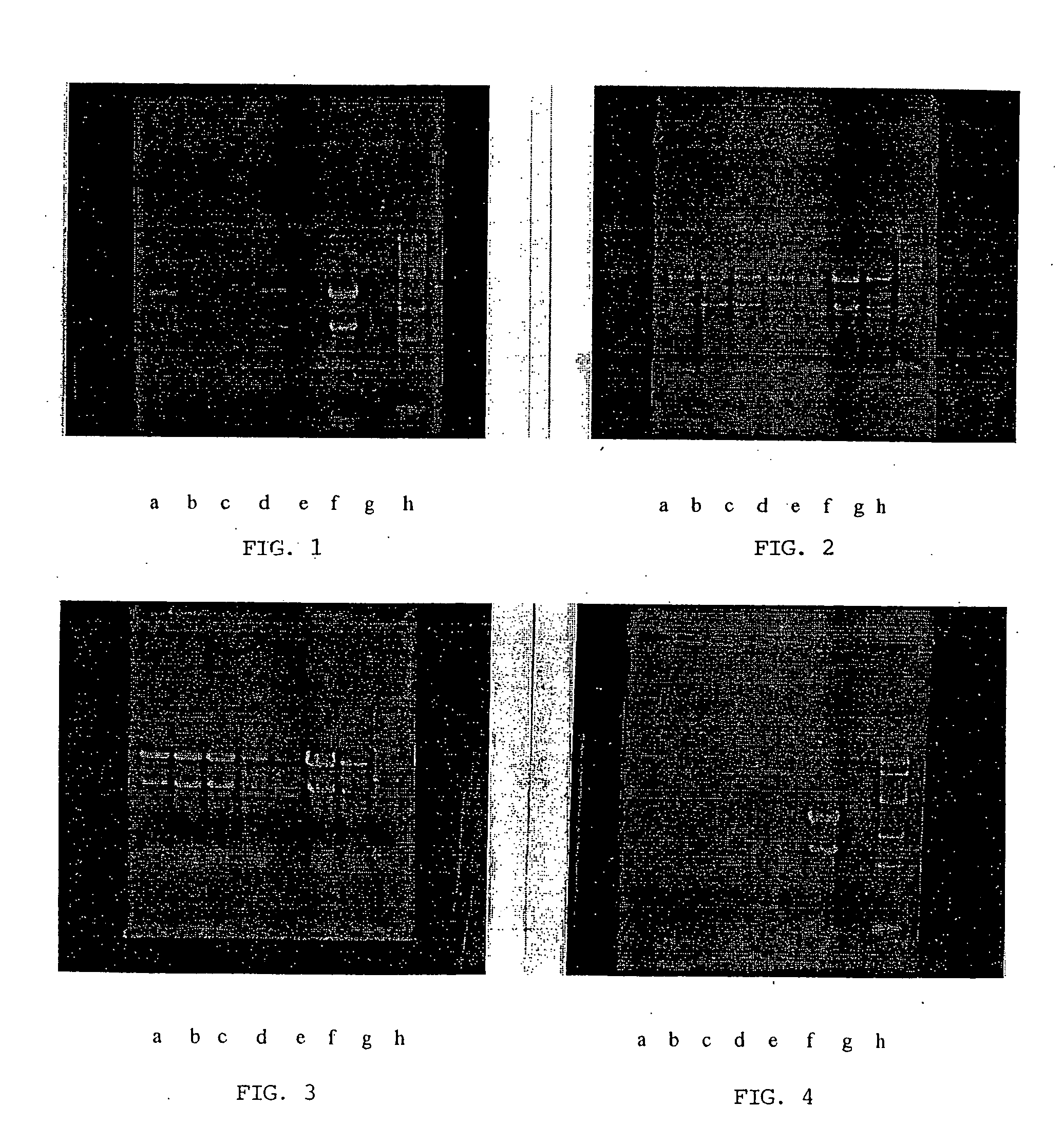 Reagent for the isolation of RNA