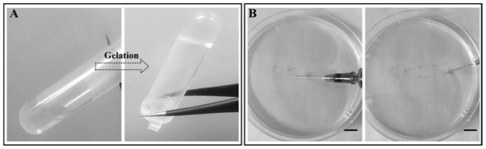 Preparation method and application method of double-network hydrogel for three-dimensional cell culture