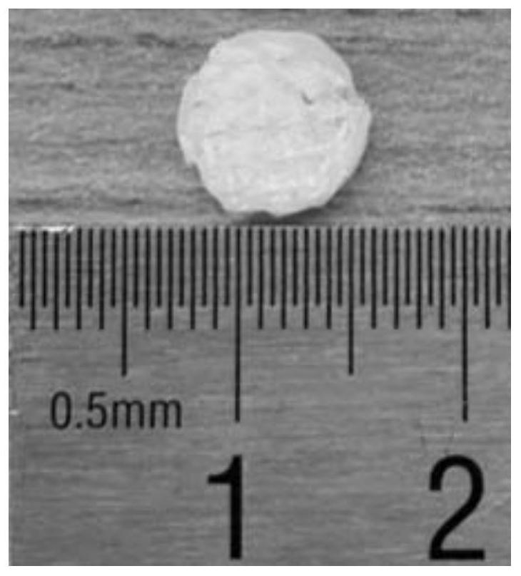 A composite scaffold of 3D printed degradable polymer scaffold and photocrosslinked hydrogel