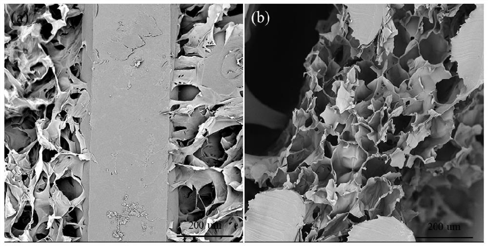 A composite scaffold of 3D printed degradable polymer scaffold and photocrosslinked hydrogel