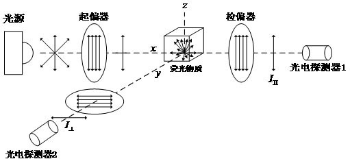 High-accuracy fluorescence anisotropy microscopic imaging device and method