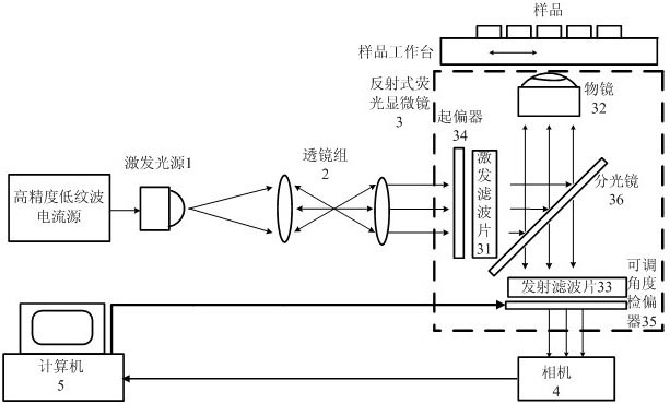 High-accuracy fluorescence anisotropy microscopic imaging device and method