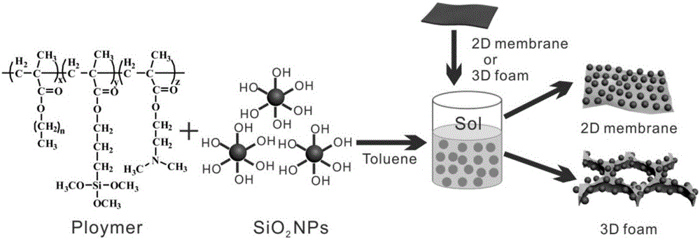 Preparation of pH responsive two-dimensional thin film and three-dimensional sponge oil-water separation materials and oil-water separation application