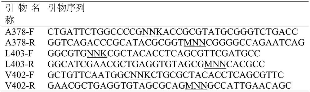 Amidase Mutant and Its Application in Catalytic Synthesis of 2-Chloronicotinic Acid