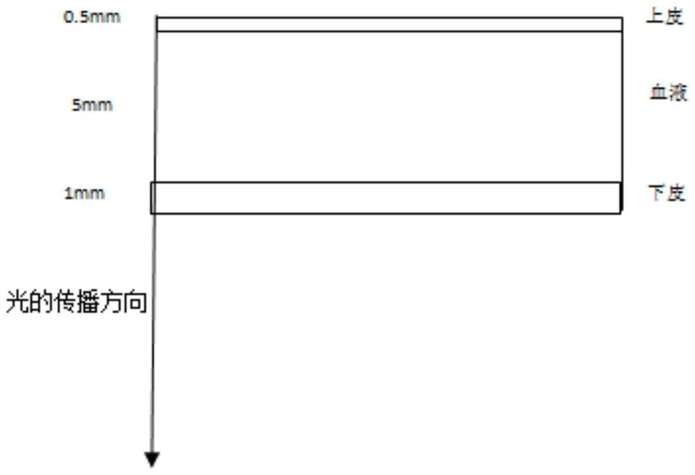 A detection method for non-invasive measurement of blood glucose concentration based on lip optics