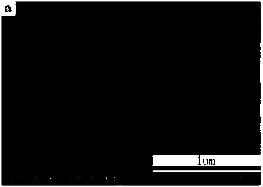 Macroporous structural lithium-sulfur secondary cell and preparation method thereof