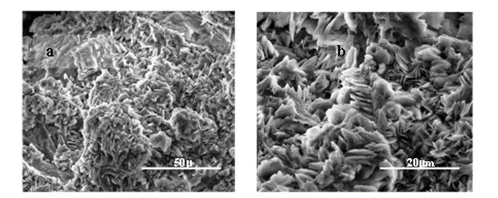 Red-mud-based nitrogen phosphorus controlled release agent and preparation method thereof