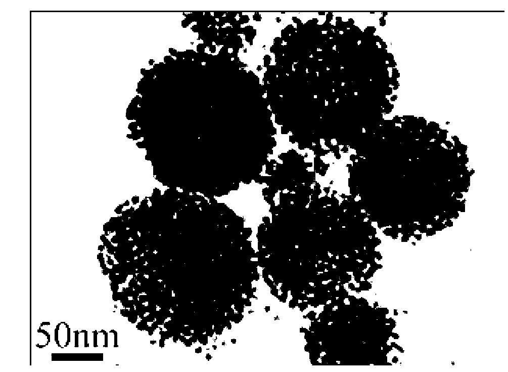 Preparation method for monodisperse gold nanoparticle and assembly thereof