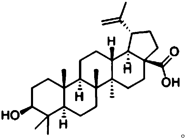 Application of fructus chaenomelis betulinic acid in preparing medicine for resisting hypertensive myocardial fibrosis