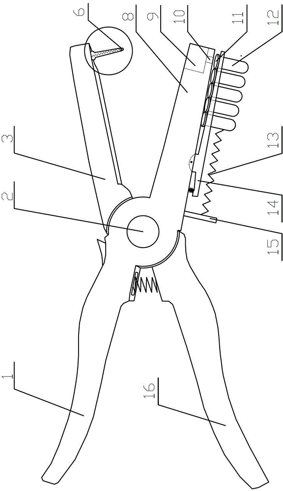 Animal tissue sampler