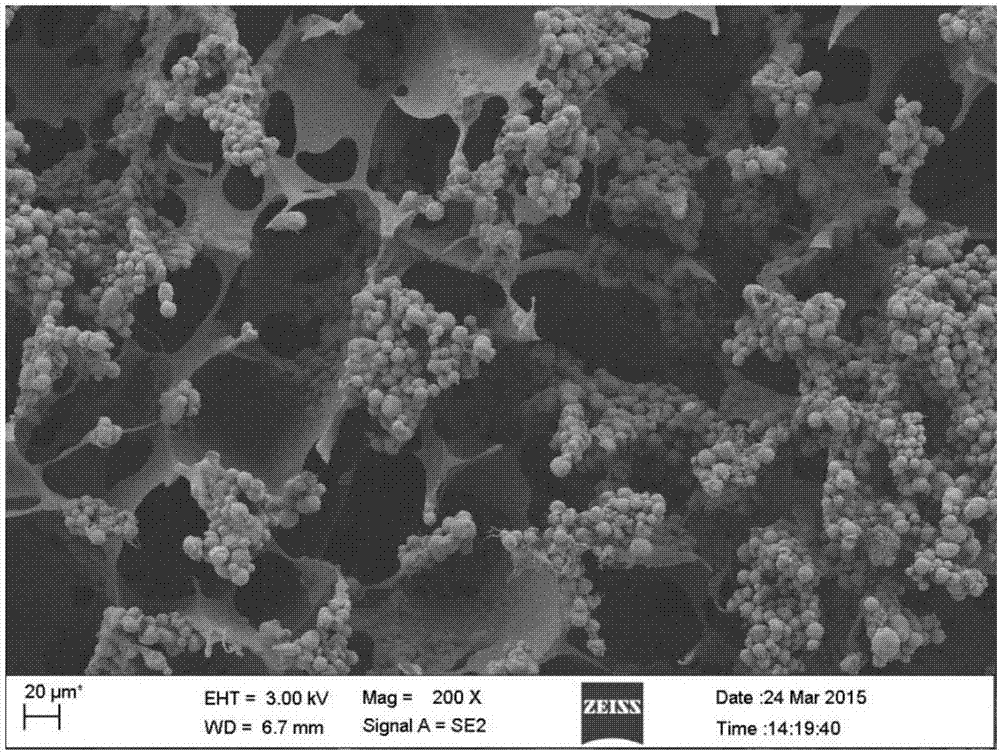 Method for preparing skin regeneration material loaded with bioactive glass particles