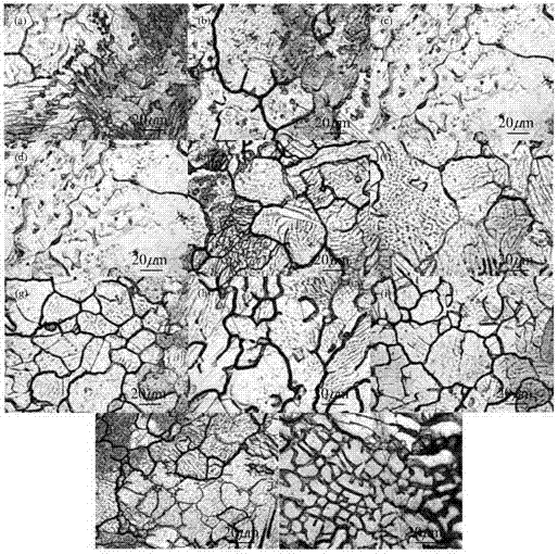 Experimental method and device for determining high temperature solidification phase transition rule