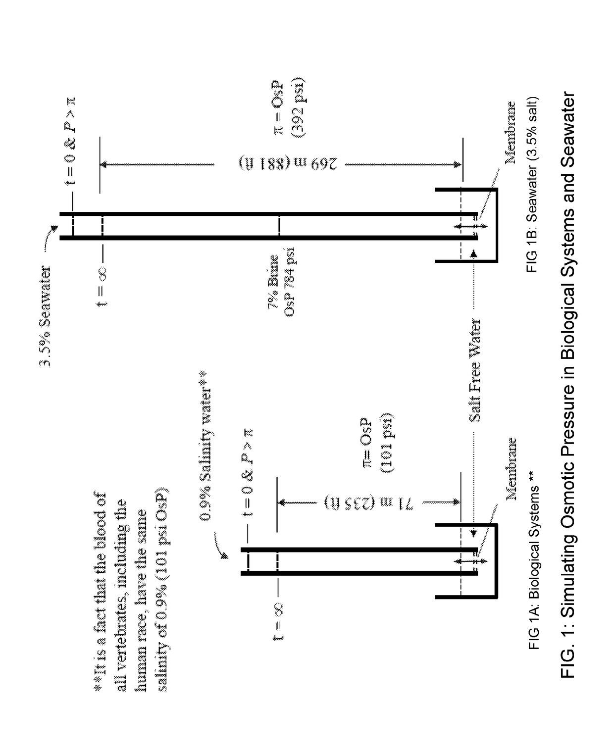 Symbiotic reverse osmosis for maximizing desalinated water recovery from saline waters and brines