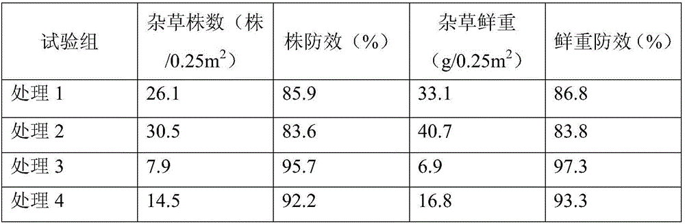 Rape straw covering method for preventing and controlling rice field weeds