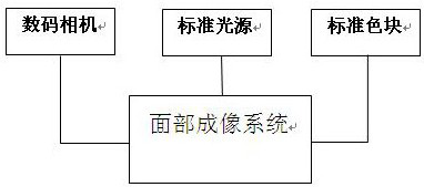 Human body efficacy evaluation method for blackhead removing cosmetics