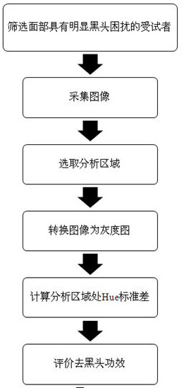 Human body efficacy evaluation method for blackhead removing cosmetics