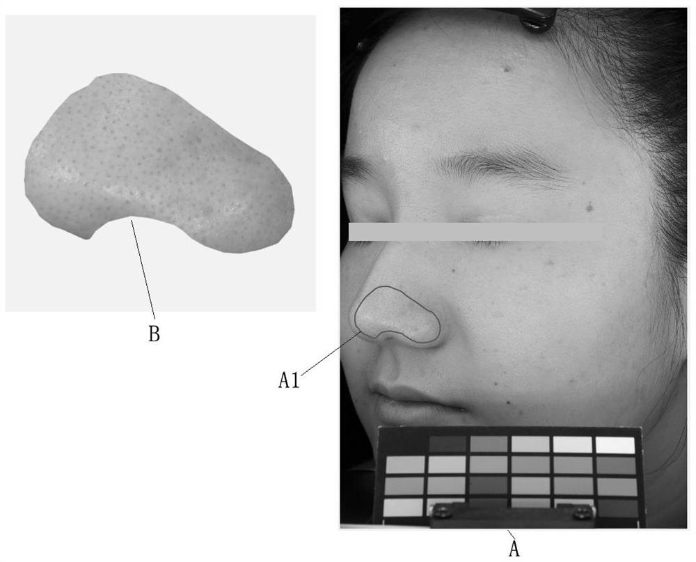 Human body efficacy evaluation method for blackhead removing cosmetics