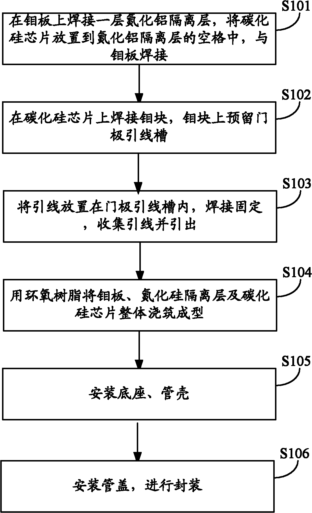 Silicon carbide power module and packaging method thereof