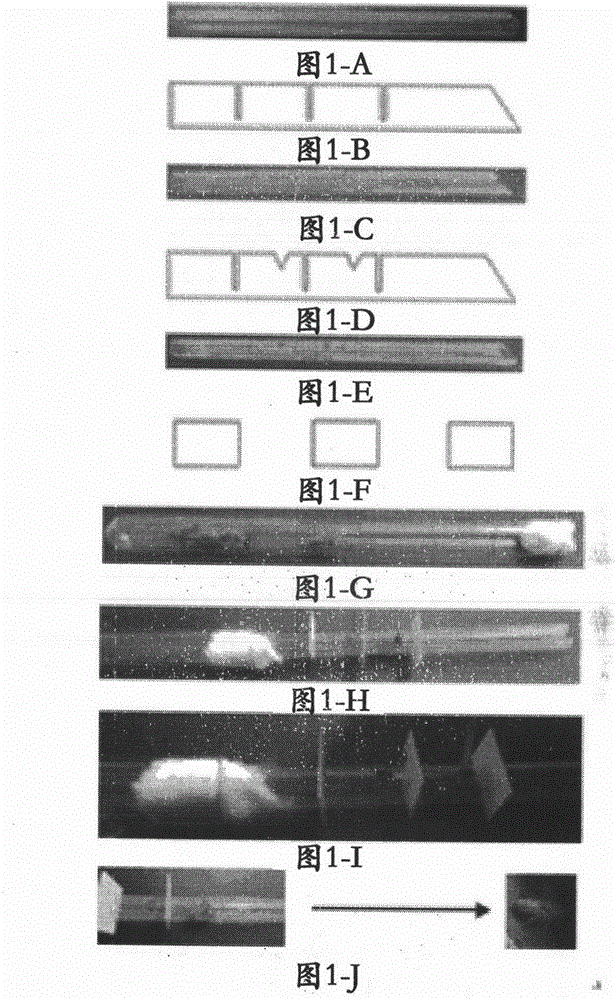 Method for utilizing plastic straw to mark honeybees