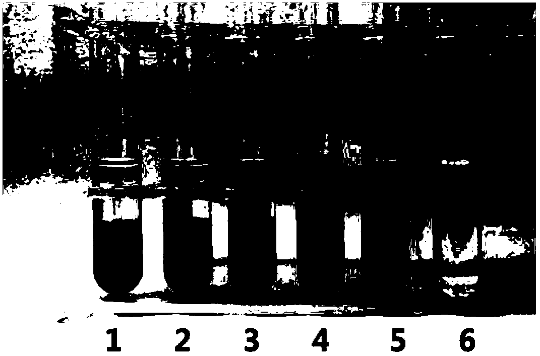 Etomidate composition for injection and preparation method thereof