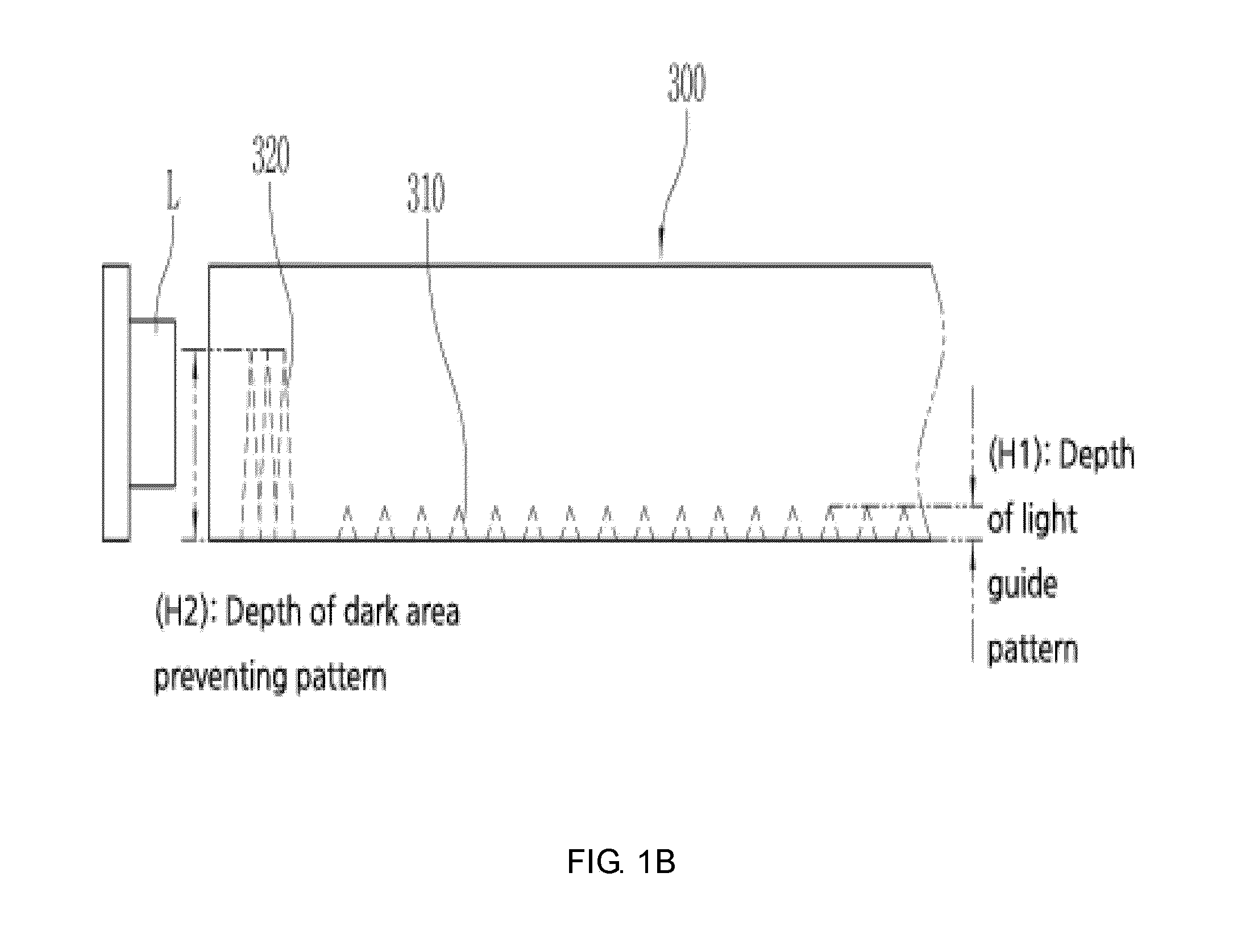 Back light unit with light guide plate preventing dark area between leds