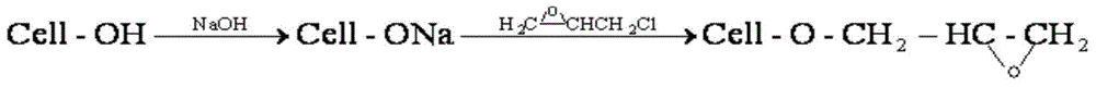 Method for preparing ammonium sulfamate bacterial celluloses for absorbing Pb2+ in waste water