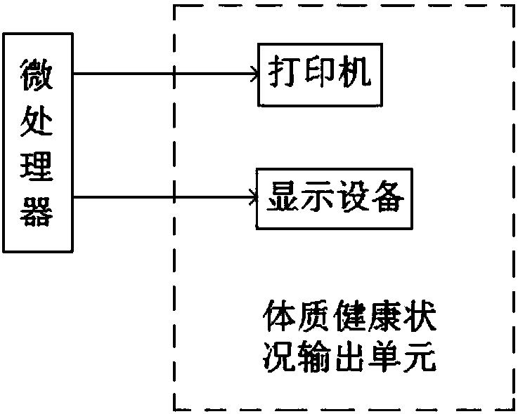 Physical health self-test system