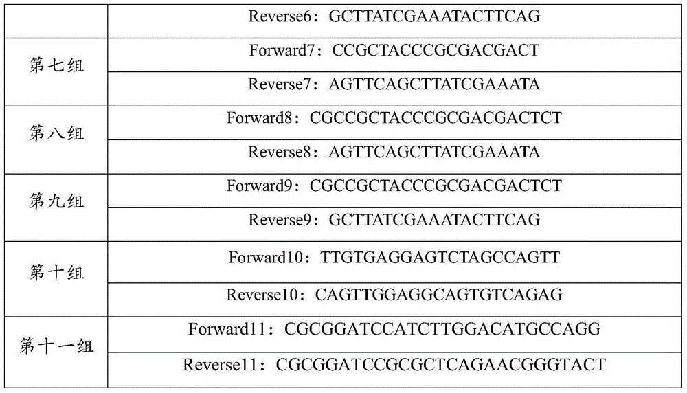 Cervus nippon PRDX4 gene, cloning method thereof and encoding protein