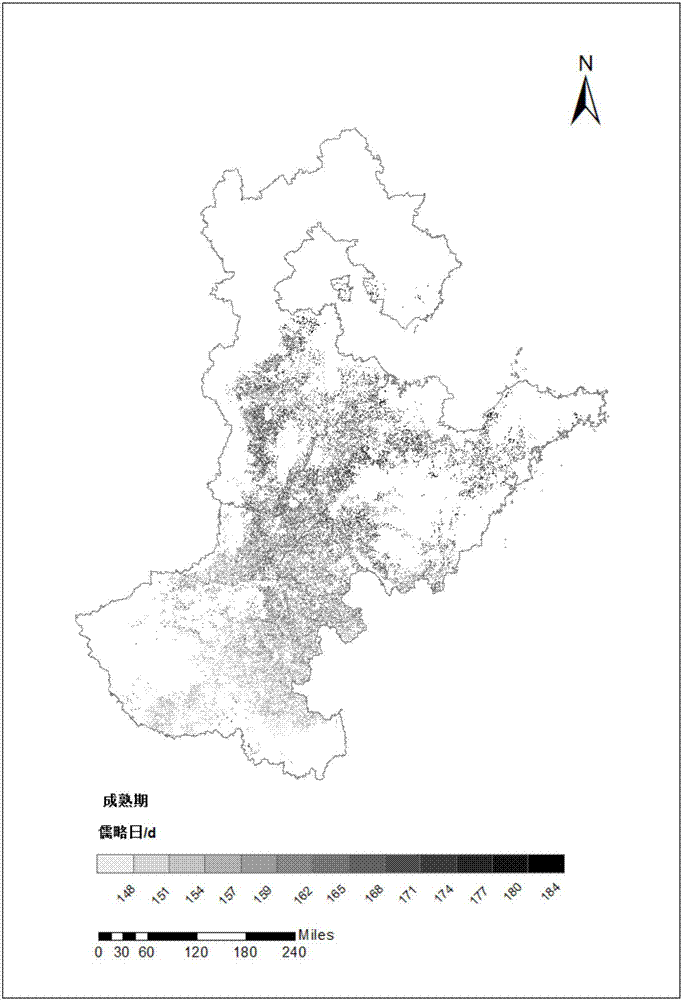 Remote sensing, crop model and meteorological forecast fused crop maturity stage prediction method