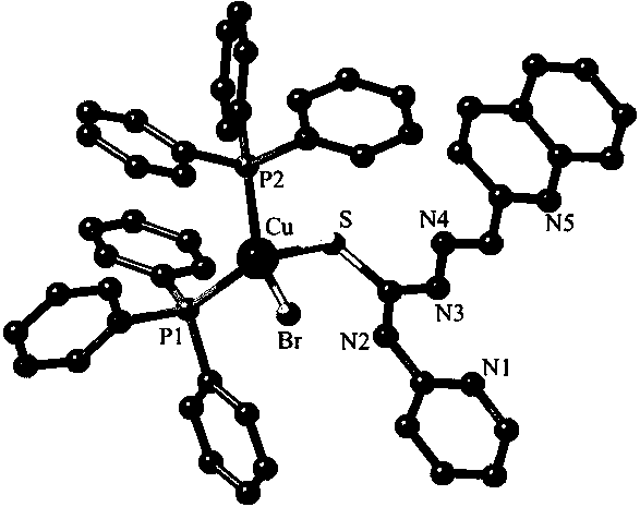 Quinoline thiosemicarbazone-copper pyridine complex and preparation method and application thereof