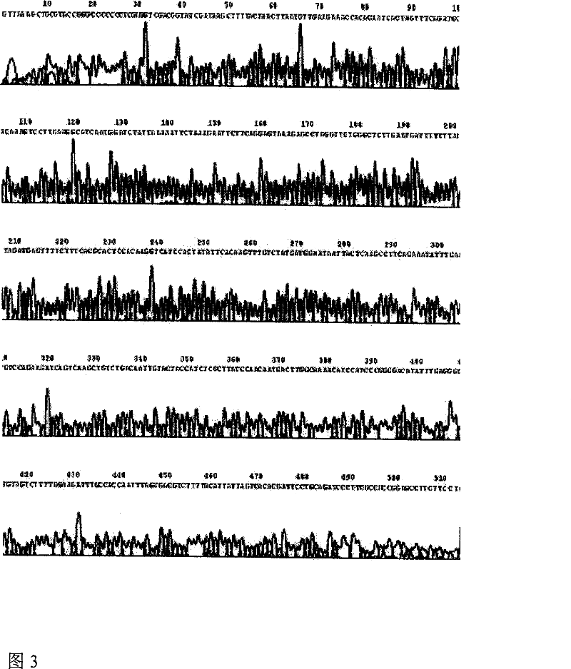 Recombinant human platelet auxin/dry cell factor fusion protein and preparation thereof