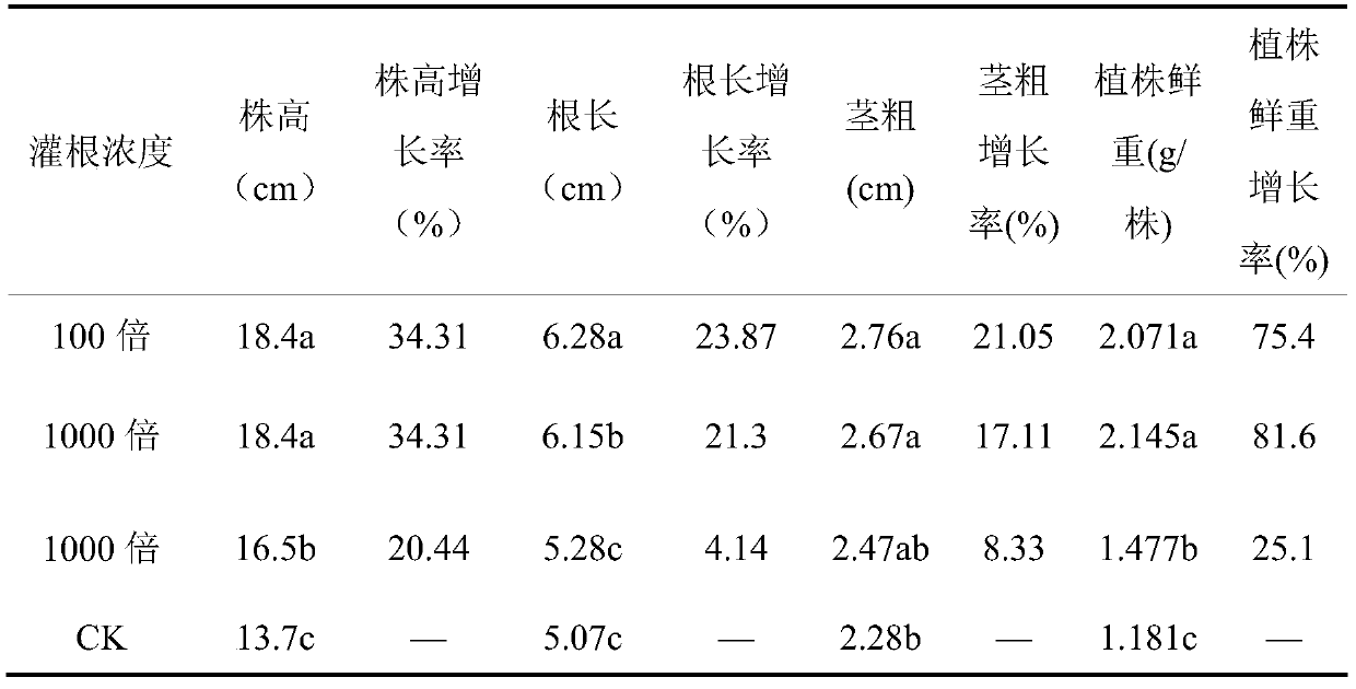 Trichoderma harzianum fermentation process, wettable powder and application thereof