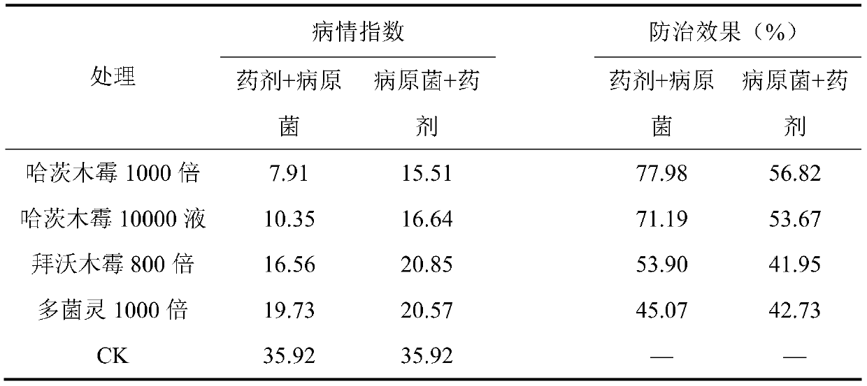 Trichoderma harzianum fermentation process, wettable powder and application thereof