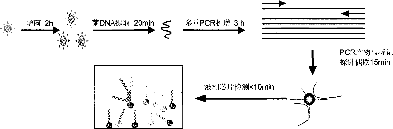 A rapid detection kit for pathogenic microorganisms