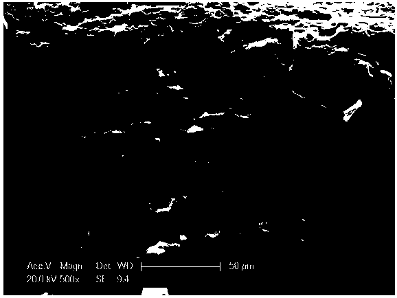 Cellulose-based phenolic compound molecularly imprinted adsorbent and preparation method thereof