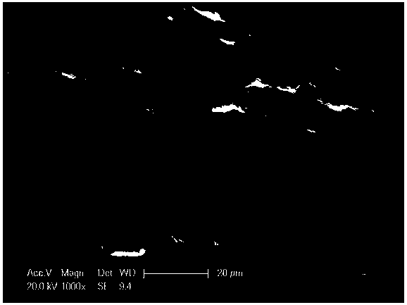 Cellulose-based phenolic compound molecularly imprinted adsorbent and preparation method thereof