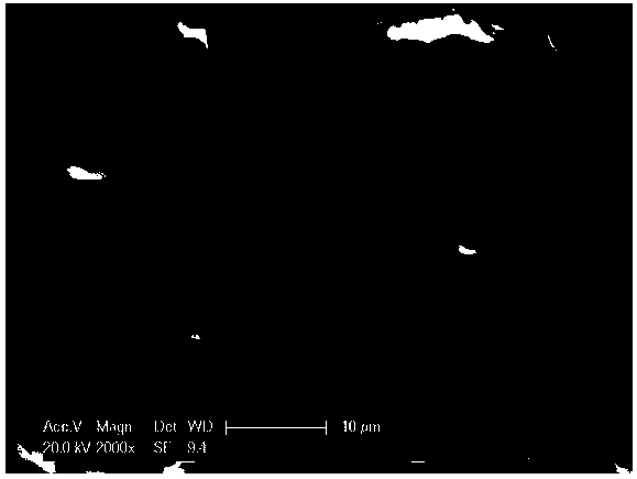 Cellulose-based phenolic compound molecularly imprinted adsorbent and preparation method thereof