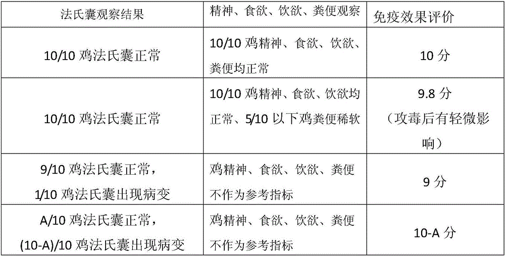 Method for evaluating immune effect of infectious bursal disease virus vaccine