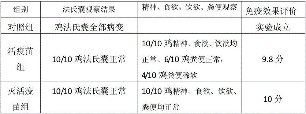 Method for evaluating immune effect of infectious bursal disease virus vaccine