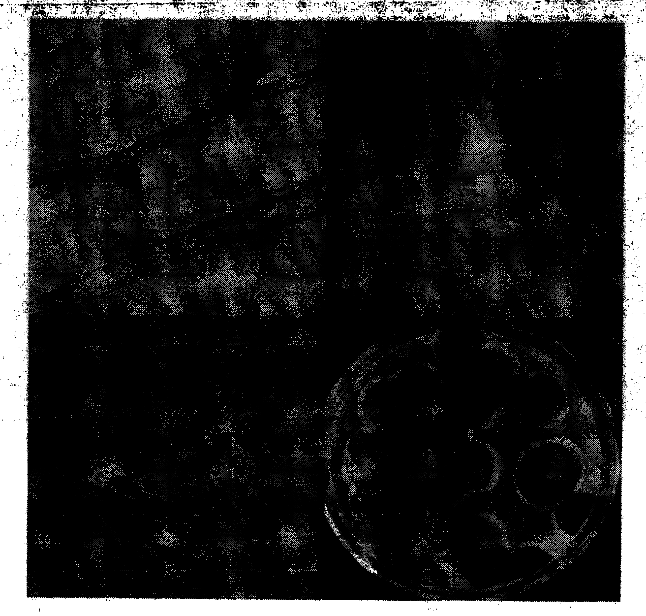 Method for increasing fermentation yield of epothilone by using competitive microorganism and application thereof