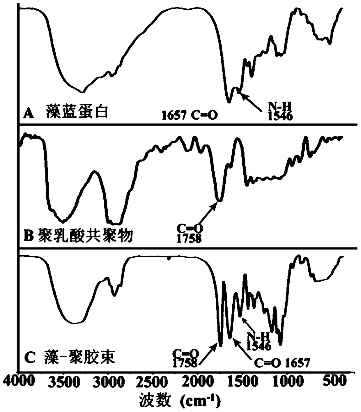 A phycocyanin-polylactic acid-doxorubicin micelle for inhibiting brain cancer and its preparation method and application