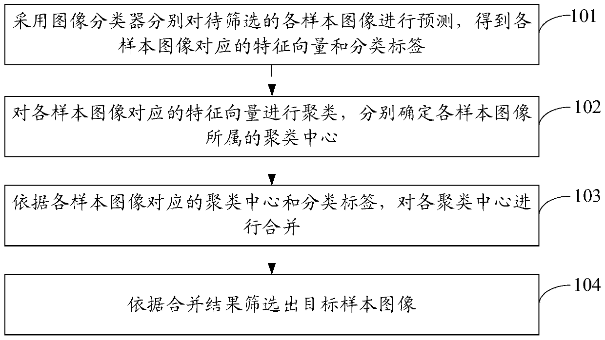 Sample image screening method and device, electronic equipment and storage medium