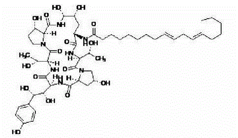 A microbial enzymatic conversion method for echinocandin B