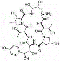 A microbial enzymatic conversion method for echinocandin B