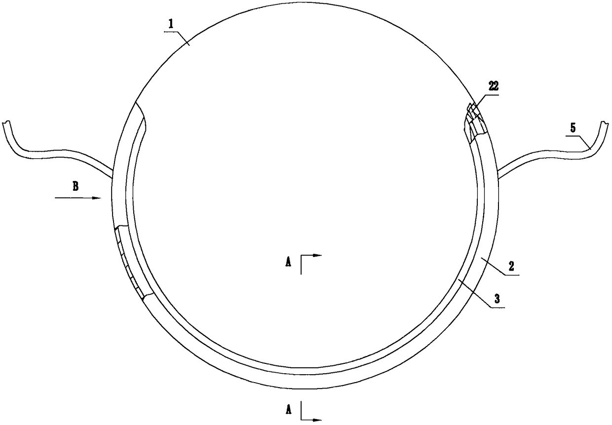 External application device for mammary gland