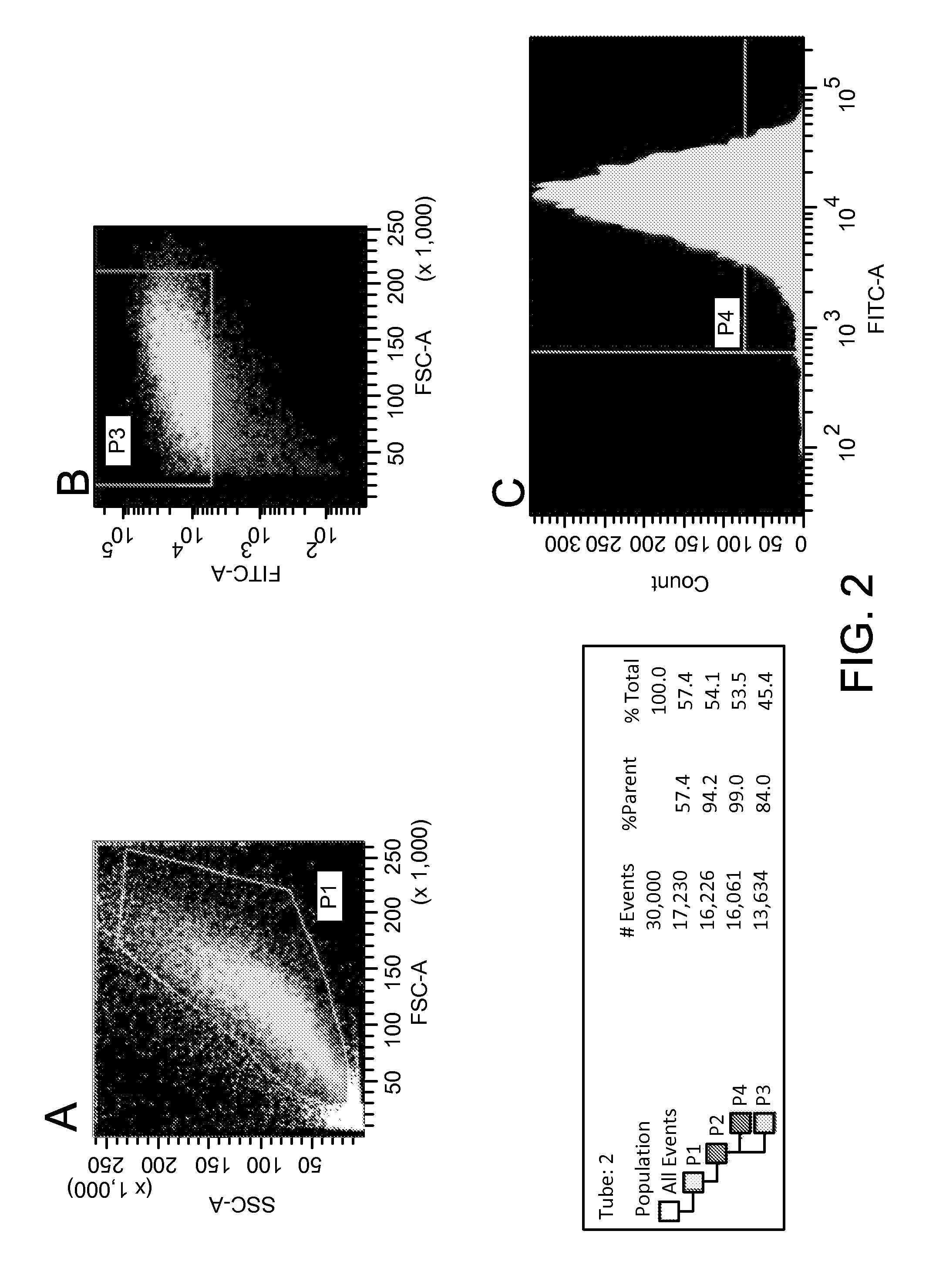 Liposome mediated delivery of lineage determining factors