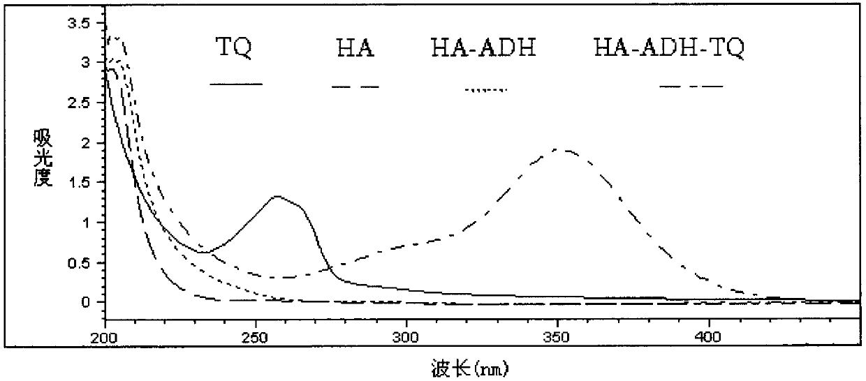 Hyaluronic acid-adipodihydrazide-thymoquinone grafted polymer as well as synthesis method and application of hyaluronic acid-adipodihydrazide-thymoquinone grafted polymer