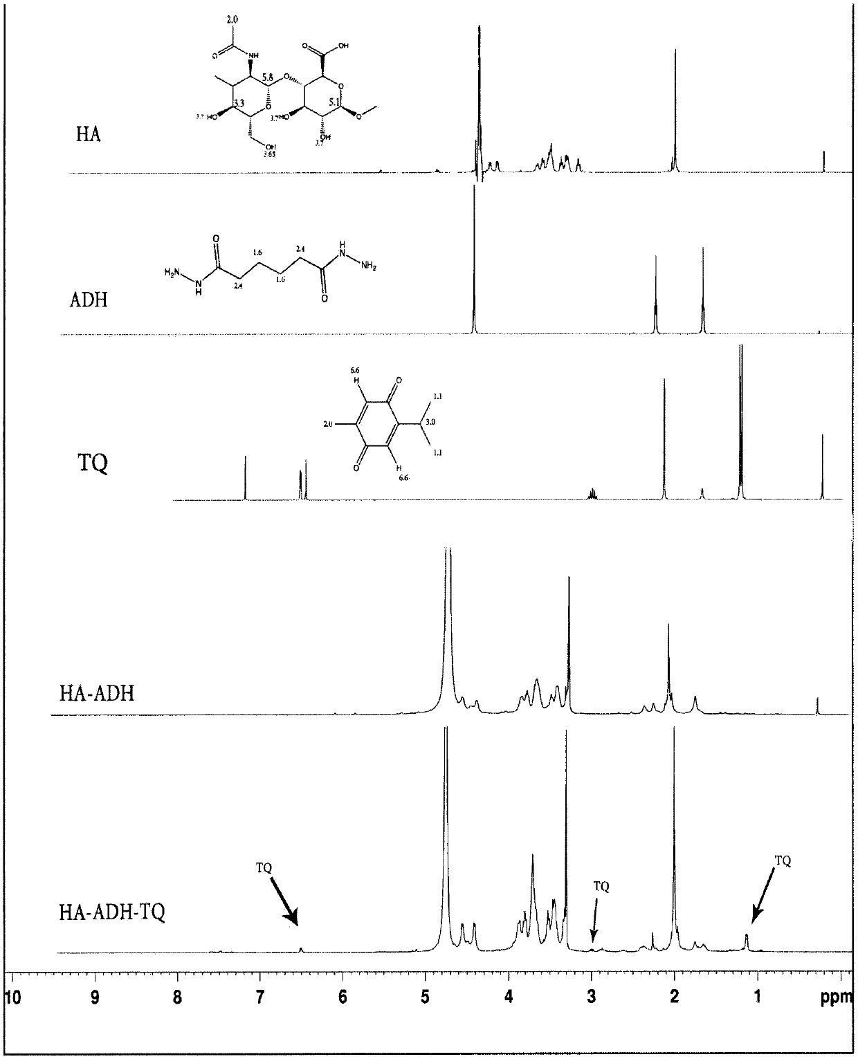 Hyaluronic acid-adipodihydrazide-thymoquinone grafted polymer as well as synthesis method and application of hyaluronic acid-adipodihydrazide-thymoquinone grafted polymer