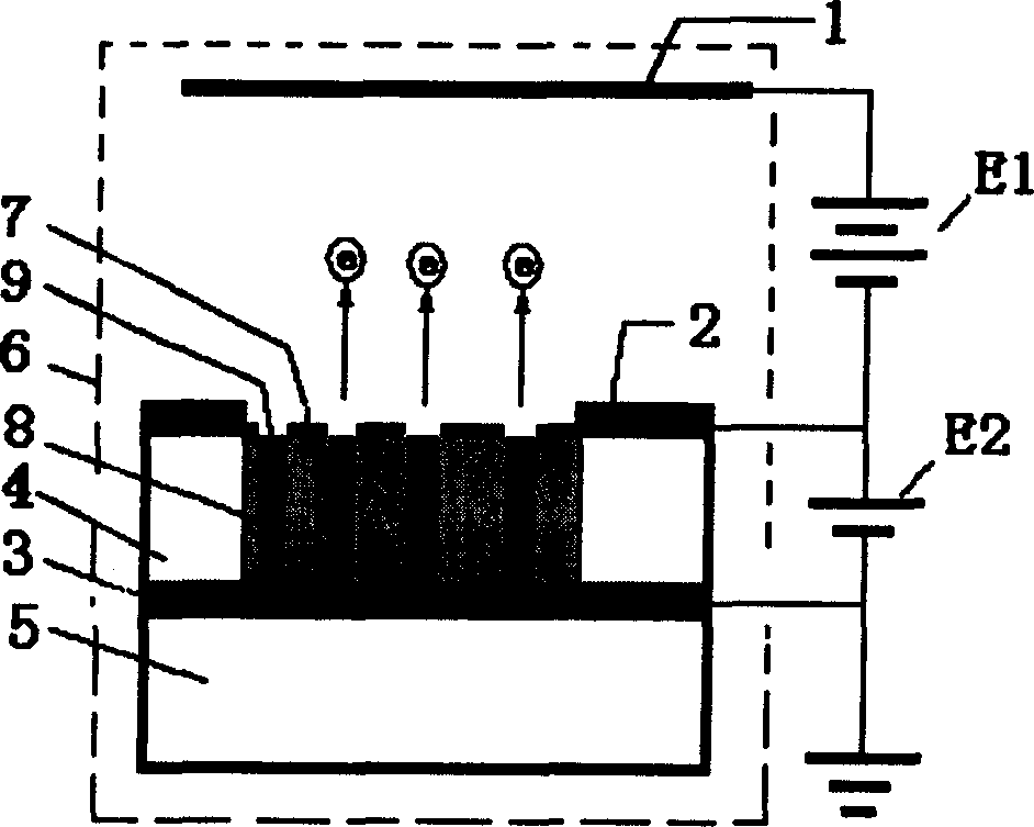 Field emitting electronic source device and its preparing process